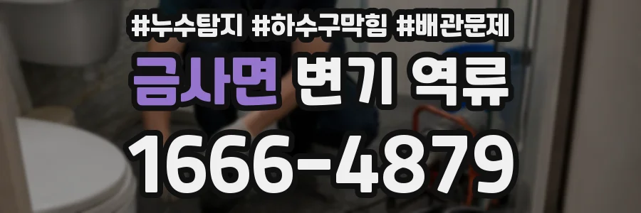 금사면 변기 역류