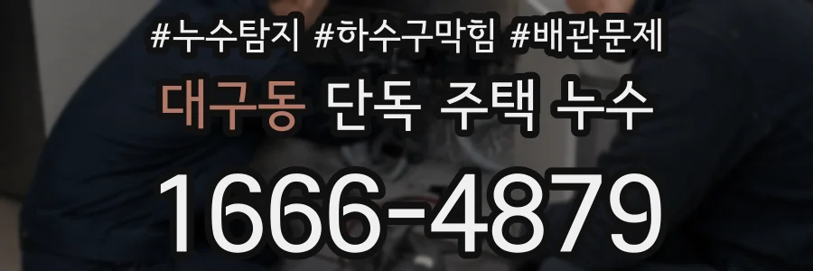 대구동 단독 주택 누수