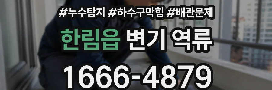 한림읍 변기 역류