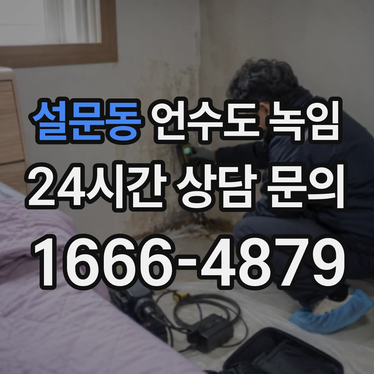 설문동 언수도 녹임