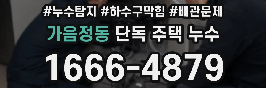 가음정동 단독 주택 누수