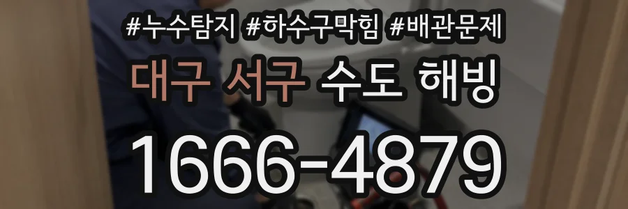 대구 서구 수도 해빙