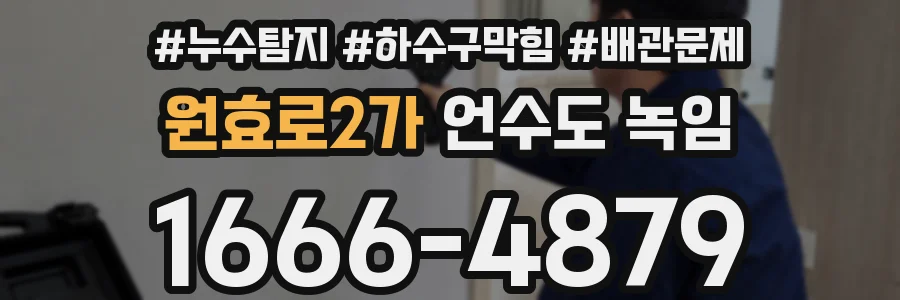 원효로2가 언수도 녹임