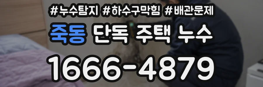 죽동 단독 주택 누수