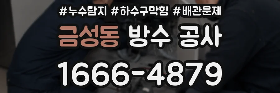 금성동 방수 공사