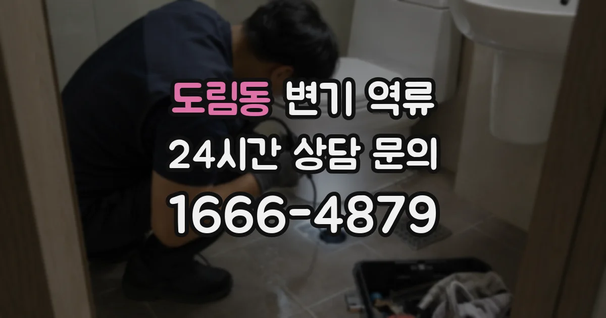 도림동 변기 역류