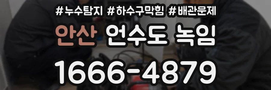 안산 언수도 녹임