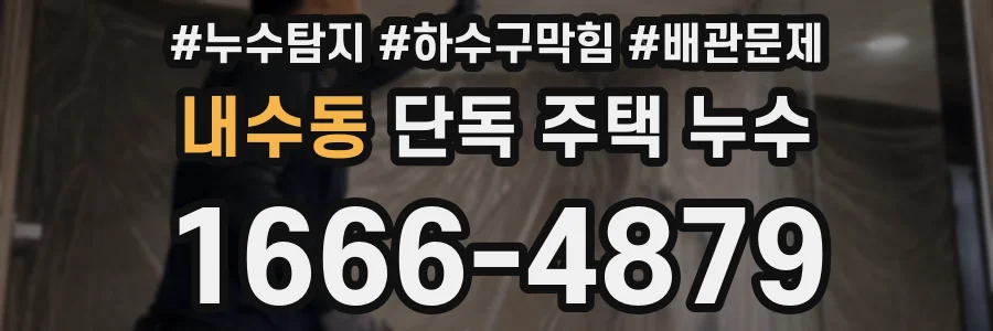 내수동 단독 주택 누수