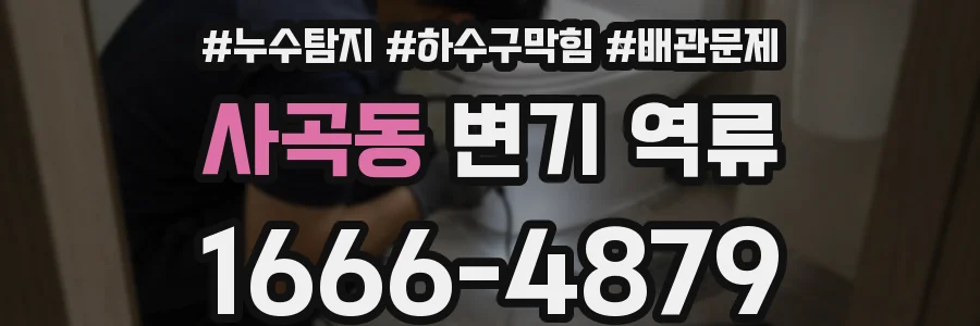 사곡동 변기 역류