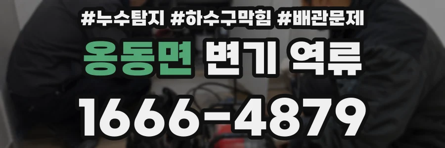 옹동면 변기 역류