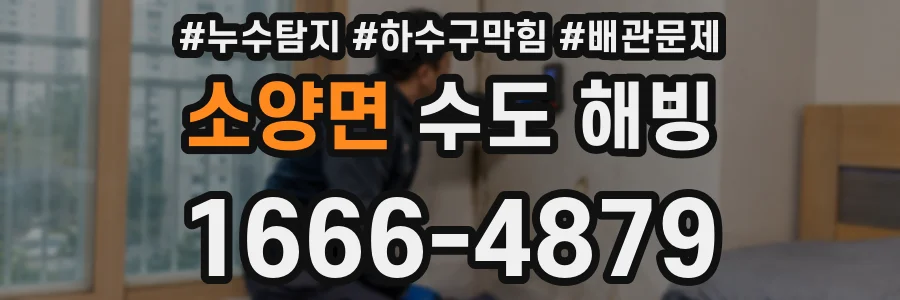 소양면 수도 해빙