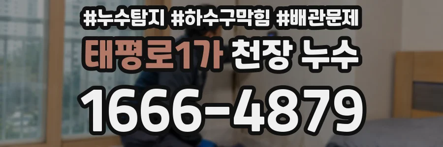 태평로1가 천장 누수