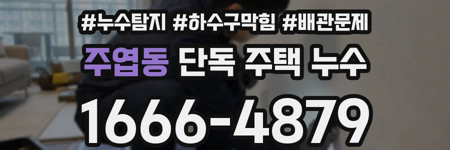 주엽동 단독 주택 누수
