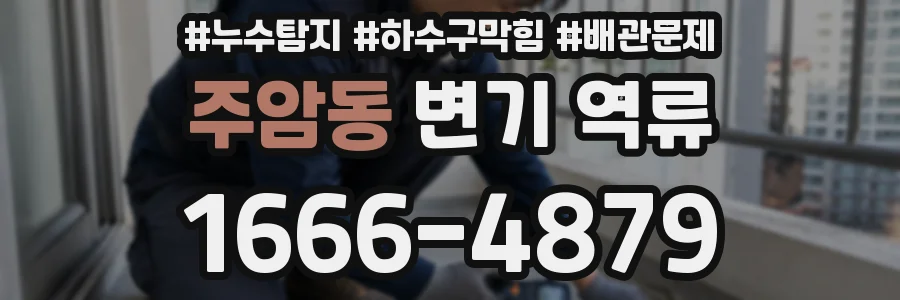 주암동 변기 역류