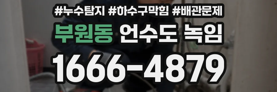 부원동 언수도 녹임