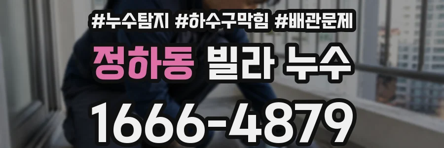 정하동 빌라 누수