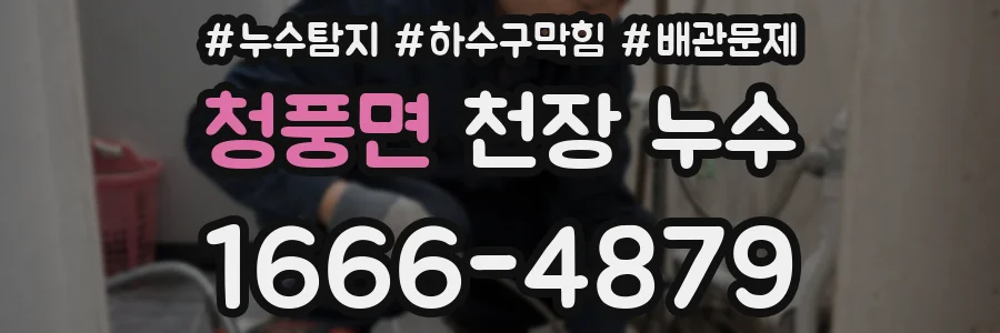 청풍면 천장 누수