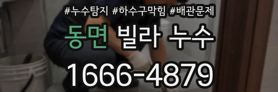 동면 빌라 누수
