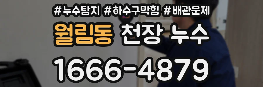 월림동 천장 누수