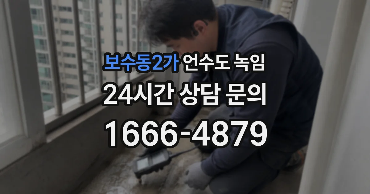 보수동2가 언수도 녹임