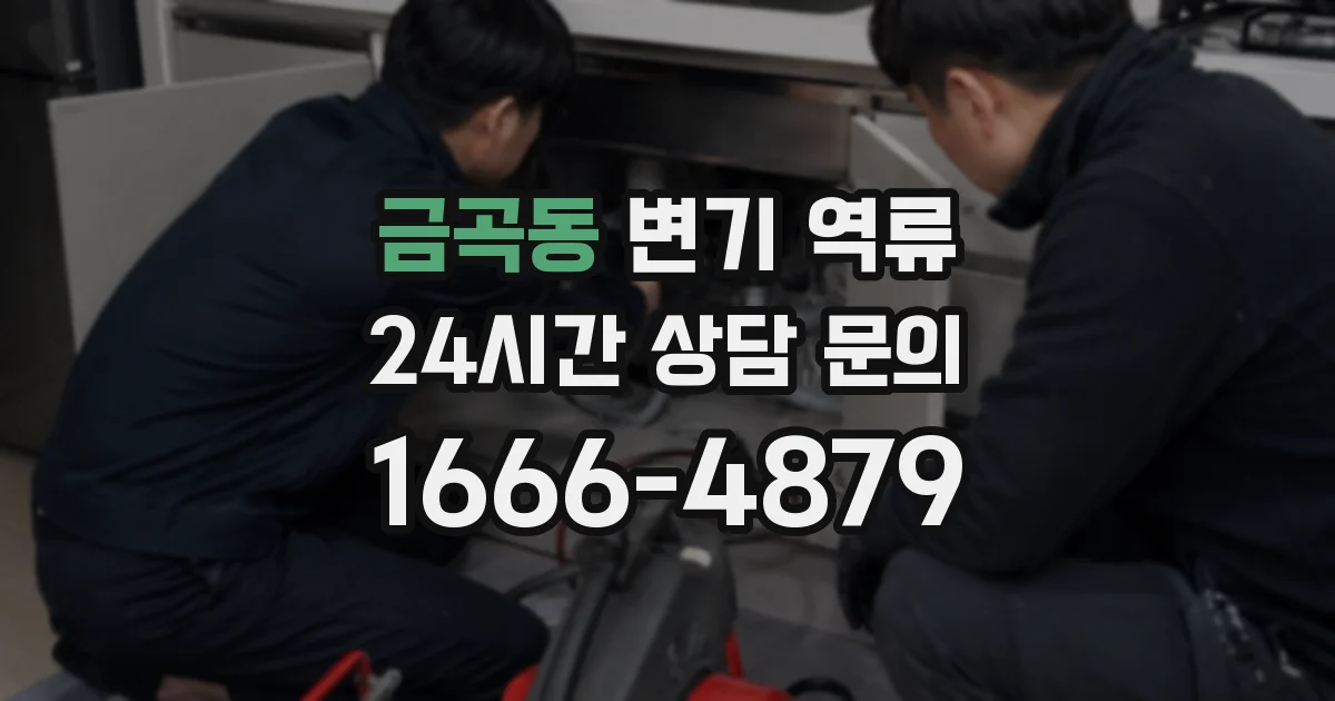 금곡동 변기 역류