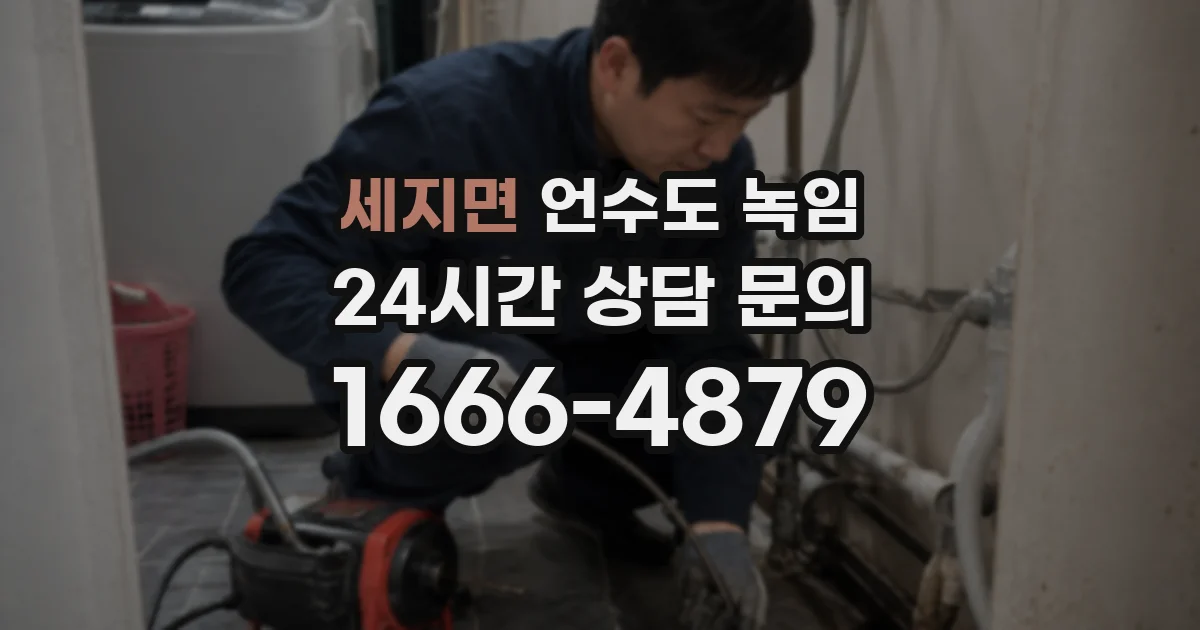 세지면 언수도 녹임