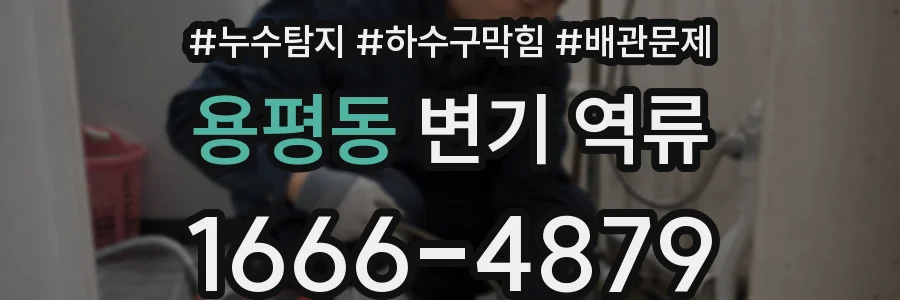 용평동 변기 역류