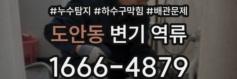 도안동 변기 역류