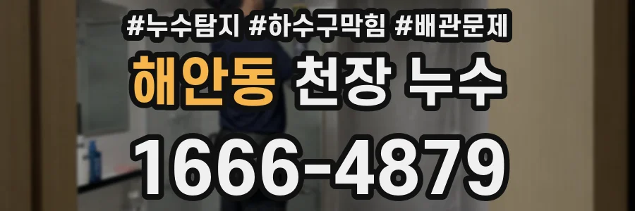 해안동 천장 누수