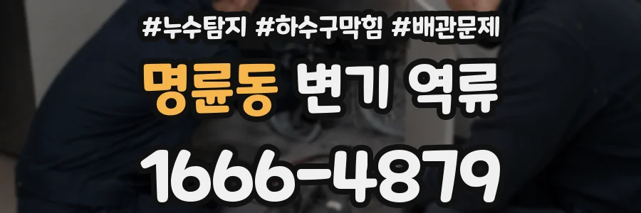 명륜동 변기 역류