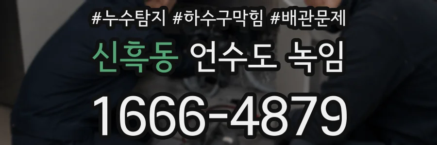 신흑동 언수도 녹임