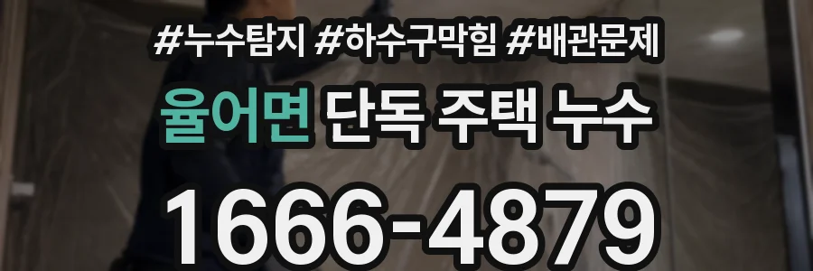 율어면 단독 주택 누수