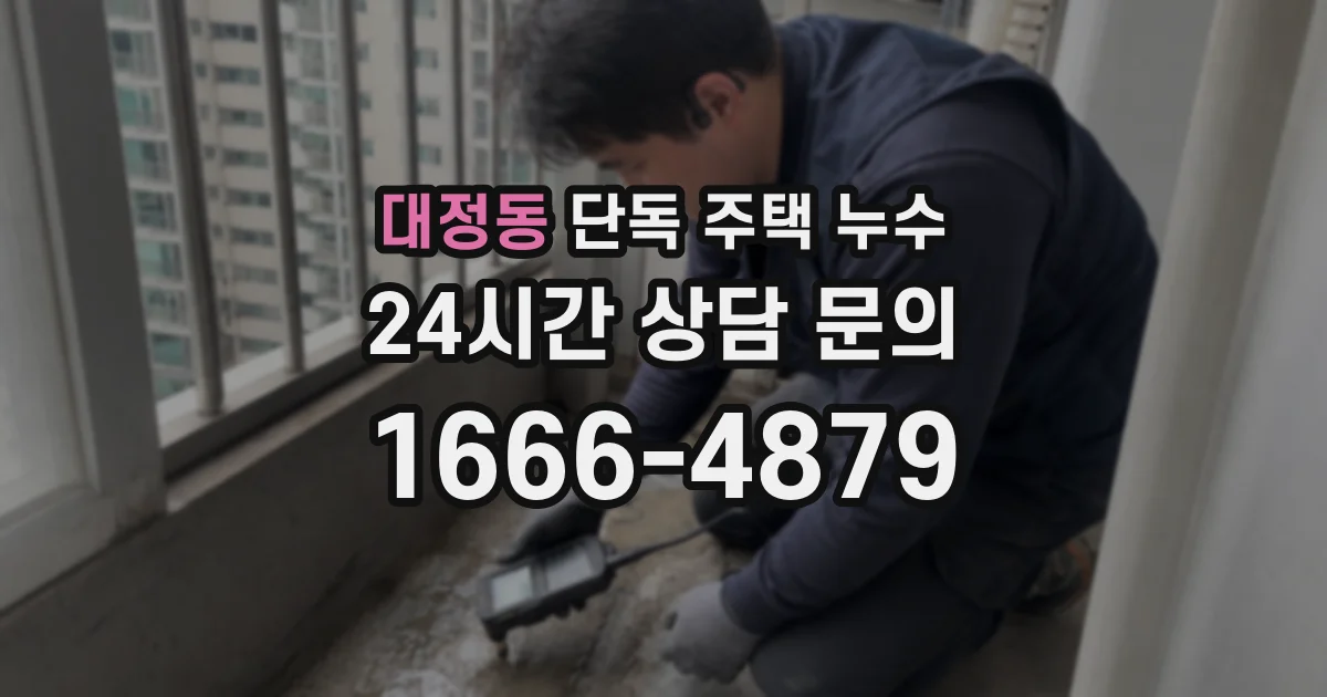 대정동 단독 주택 누수