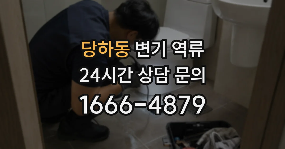 당하동 변기 역류