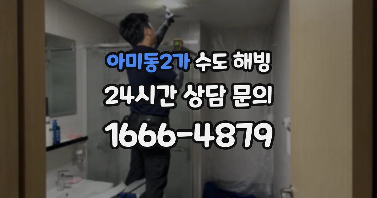 아미동2가 수도 해빙