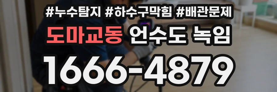 도마교동 언수도 녹임