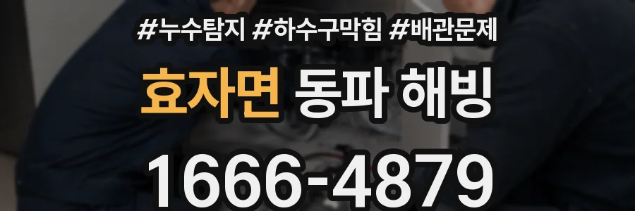 효자면 동파 해빙