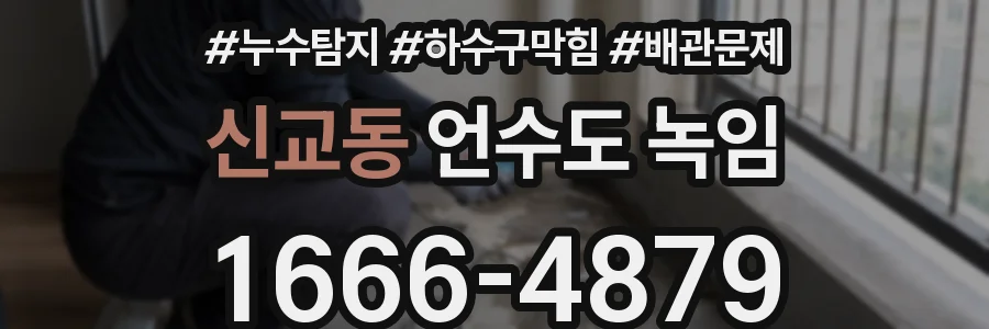 신교동 언수도 녹임