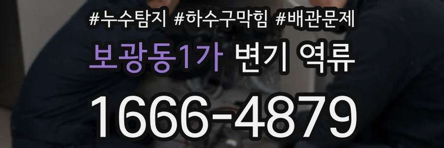 보광동1가 변기 역류