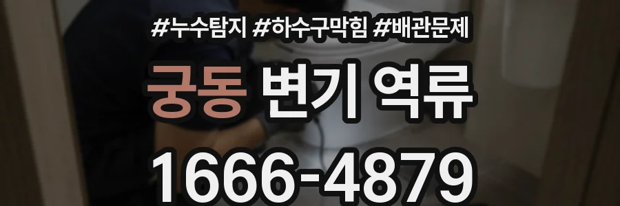 궁동 변기 역류