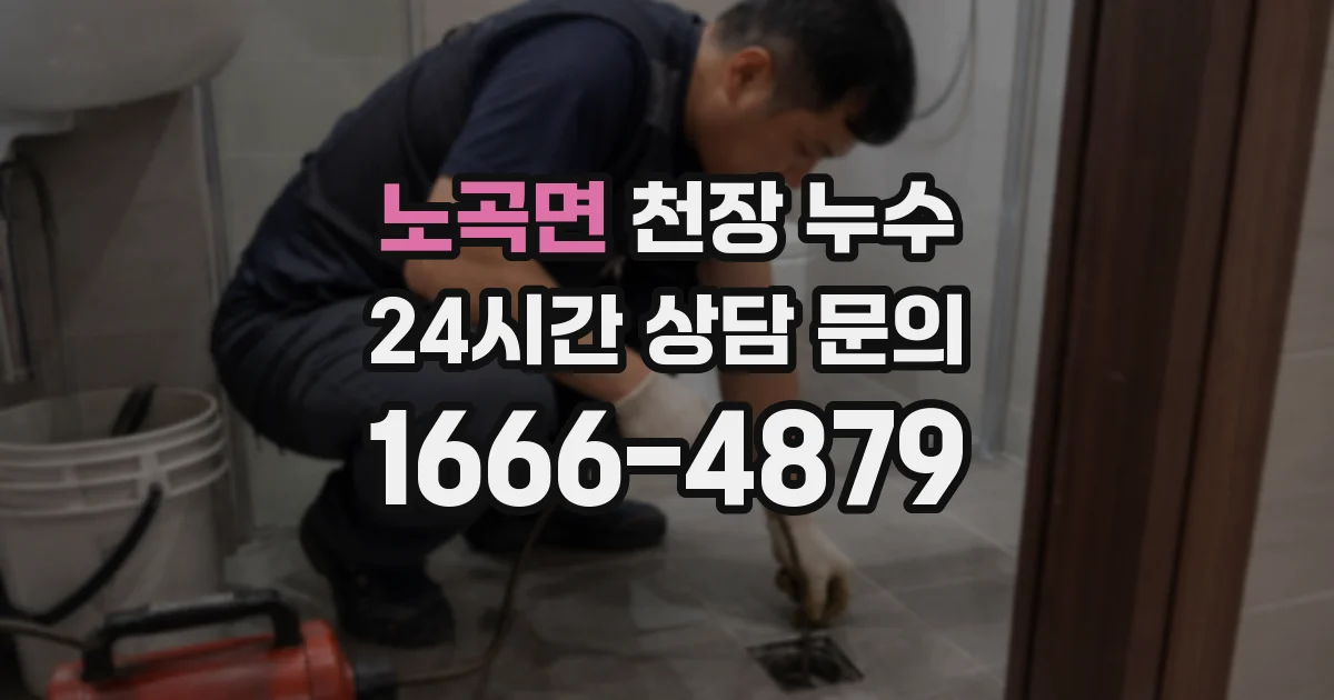노곡면 천장 누수