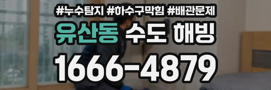 유산동 수도 해빙