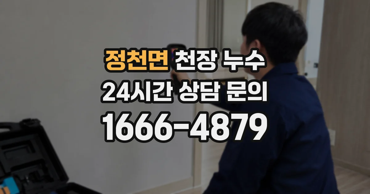 정천면 천장 누수
