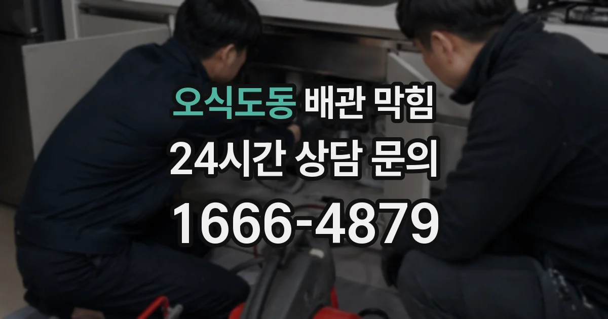 오식도동 배관 막힘