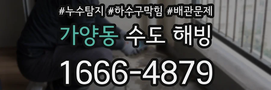 가양동 수도 해빙