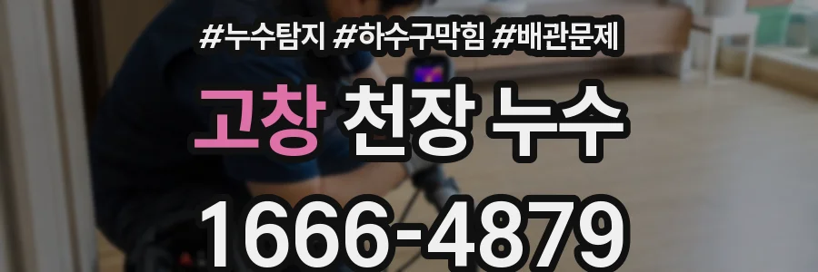 고창 천장 누수