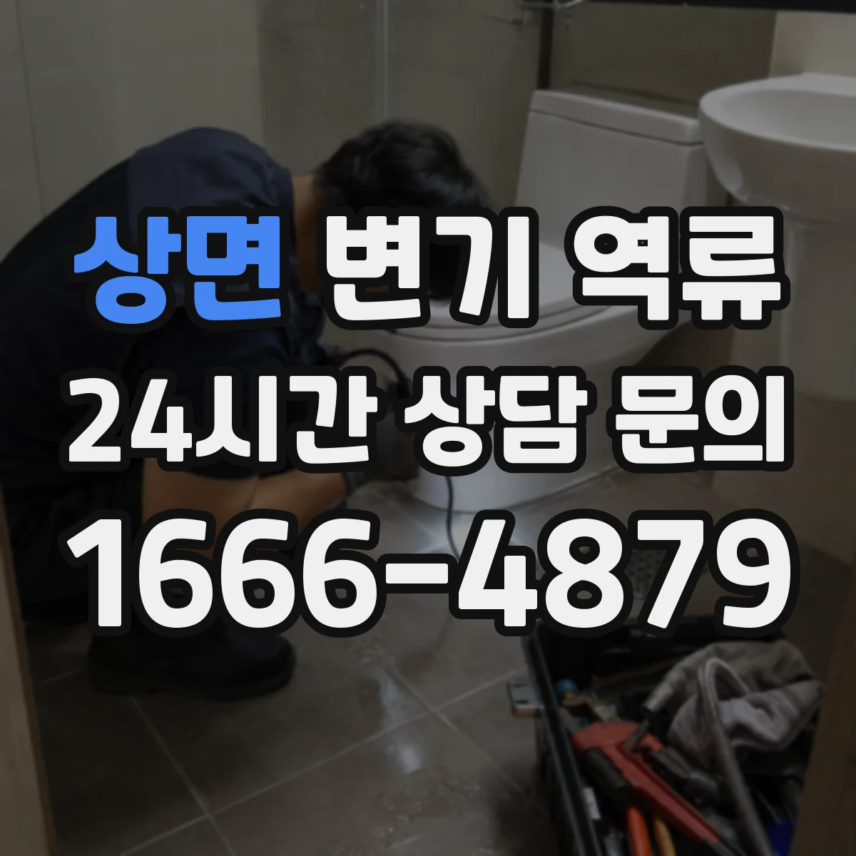 상면 변기 역류