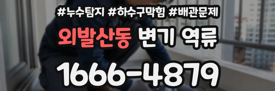 외발산동 변기 역류