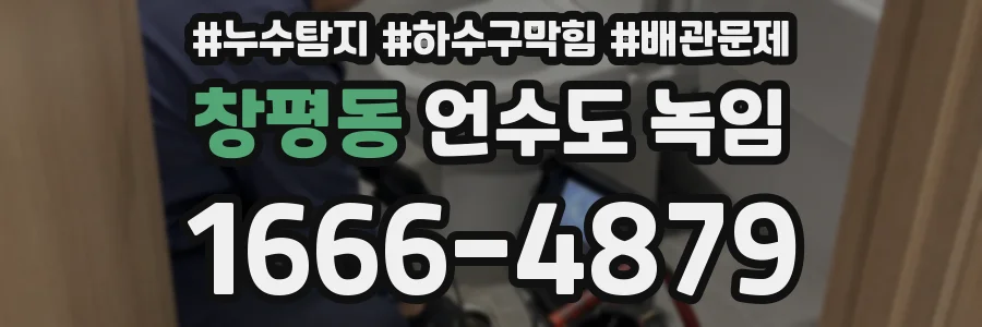 창평동 언수도 녹임