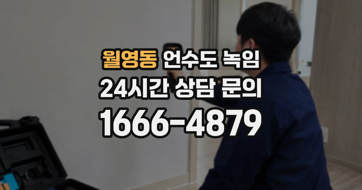 월영동 언수도 녹임